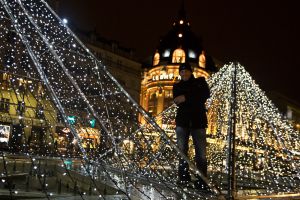 me paris roof sm.jpg